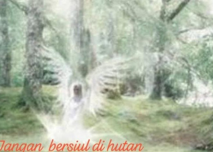 Mitos Misteri Larangan Bersiul Didalam Hutan