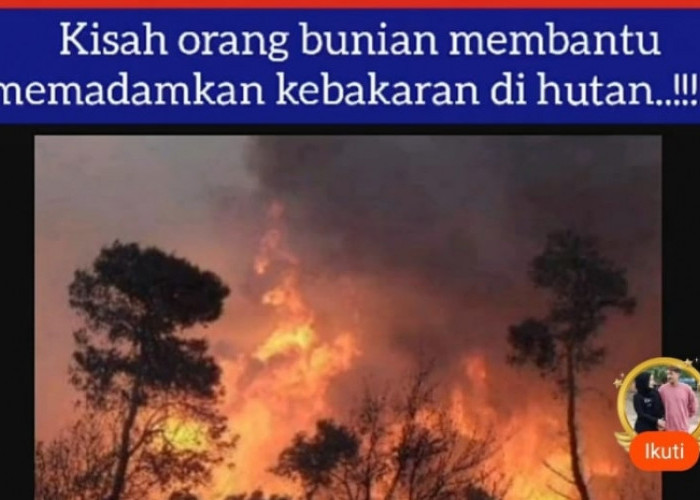 Kisah Menarik Orang Bunian: Membantu Memadamkan Kebakaran di Hutan Riau