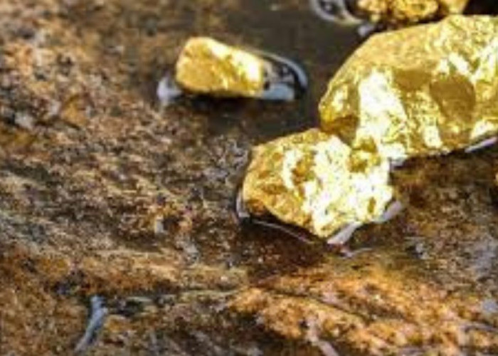 5 Misteri Emas Bengkulu: Mengulik Sebuah Legenda dan Jejak Penemuannya