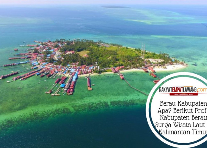 Berau Kabupaten Apa? Berikut Profil Kabupaten Berau Surga Wisata Laut di Kalimantan Timur