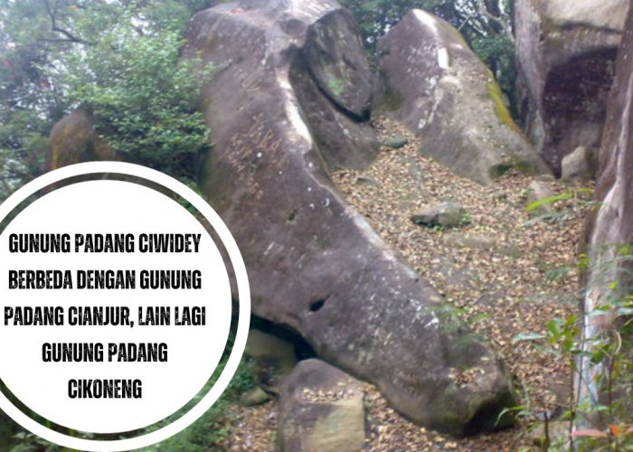 Gunung Padang Ciwidey Berbeda dengan Gunung Padang Cianjur, Lain Lagi Gunung Padang Cikoneng
