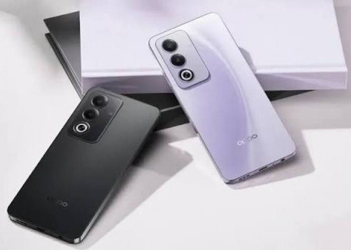 Cari HP OPPO 3 Jutaan Terbaik? Ini 4 Pilihan Tangguh dan Responsif di 2026
