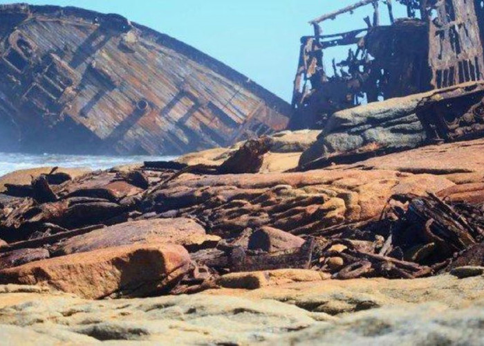 Mengungkap Misteri Skeleton Coast: Pantai Neraka yang Menyimpan Keemasan Tersembunyi