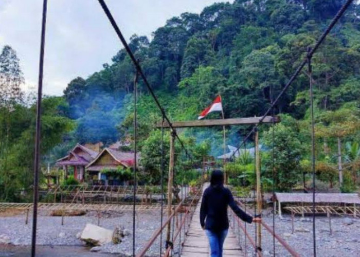 Misteri di Bukit Lawang, Aceh Tamiang: Destinasi Wisata Penuh Misteri