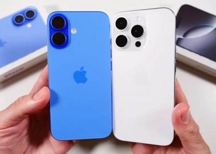 iPhone 16 vs iPhone 16 Pro, Mana yang Menjadi Pilihan Terbaik?