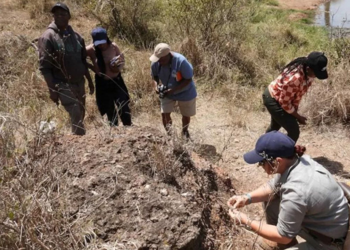 Penemuan Besar di Serengeti: Tim Arkeolog Polandia Ungkap Situs Bersejarah yang Terlupakan