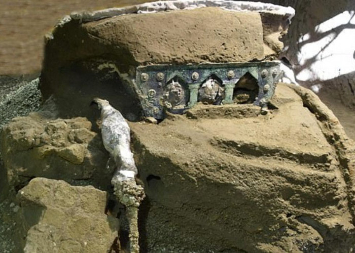 Penemuan Kereta Kuda Kuno di Pompeii: Temuan Langka dari Era Romawi