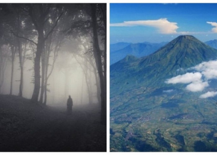Kisah Mistis Pendaki Gunung Merbabu, Yogyakarta: Diterpa Kabut dan Suara-Suara Aneh
