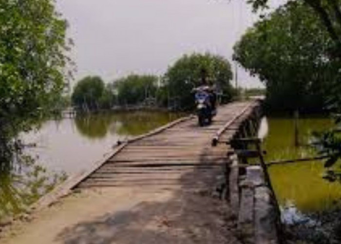 Merinding! 5 Cerita Horor di Pati, RS Tayu Hingga Jembatan Genderuwo