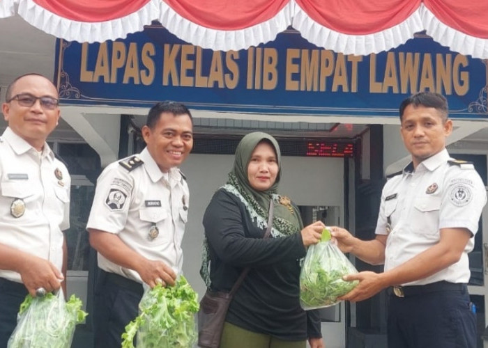 Panen Selada Organik, Lapas Kelas IIB Empat Lawang Wujudkan Pembinaan Produktif dan Berbagi untuk Masyarakat