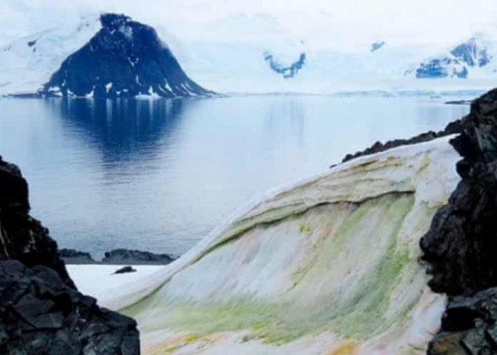 Antartika: Kekuatan Alam yang Megah dan Ancaman Lingkungan Global