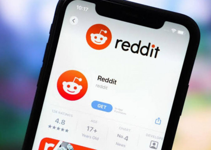 Cara Dapat Uang di Internet Lebih Gampang, Pengguna Reddit Bisa Dapatkan Bayaran Sungguhan