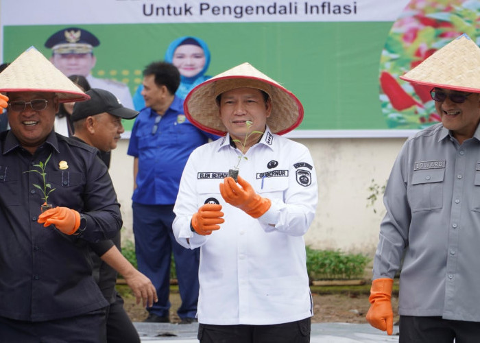 Cegah Inflasi Jelang Puasa, Gubernur Sumsel Tanam Cabai