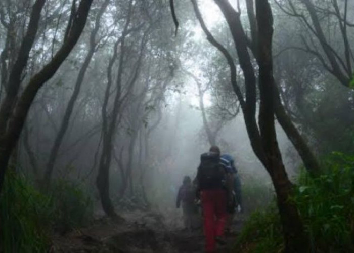 Misteri dan Keindahan Gunung Slamet: Pos Samarantu dan Legenda Dunia Lain