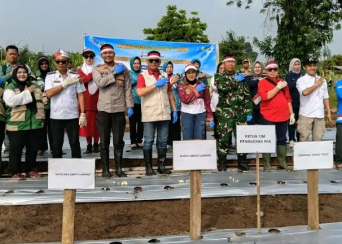 Joncik Muhammad Pimpin Penanaman Perdana Bawang Putih di Pulau Mas Empat Lawang