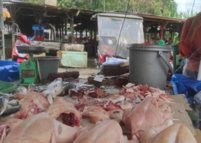 Pernah Turun! Harga Daging Ayam Kembali Naik di Empat Lawang, Capai Rp 30 Ribu per Kilogram
