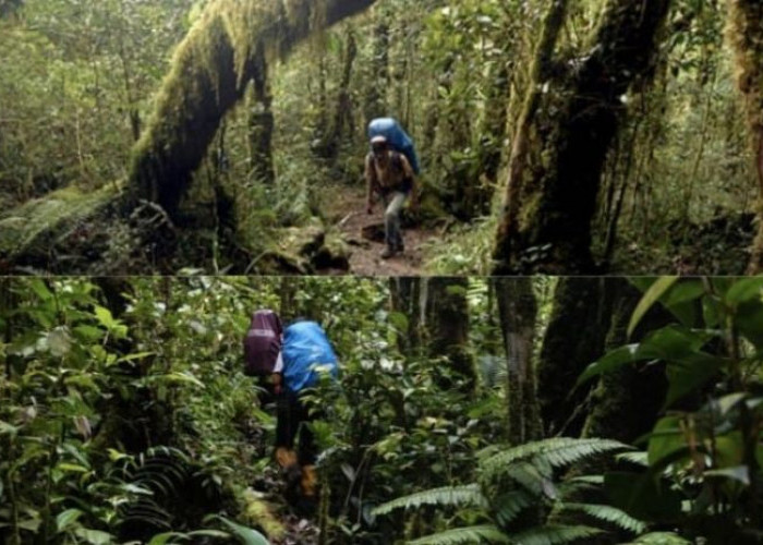 Menggali Dunia Bunian: Dika dan Petualangan Mistisnya Menemukan Putri Kerajaan di Jantung Jawa Barat