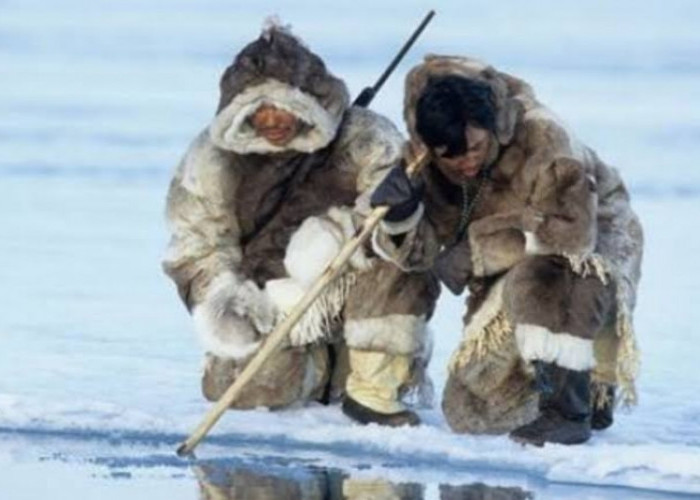Menjelajah Keunikan Kehidupan Suku di Kutub Utara: Hidup Bersama Calon Istri dalam Tradisi Eskimo