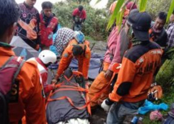 Tragedi Gunung Marapi: Polda Sumbar Akan Periksa BKSDA Terkait Tewasnya 23 Pendaki