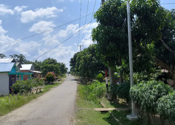 Fasilitas Penerangan Jalan Desa Mekar Jaya Mangkrak Tiang Tampa Lampu, Warga Minta Penjelasan
