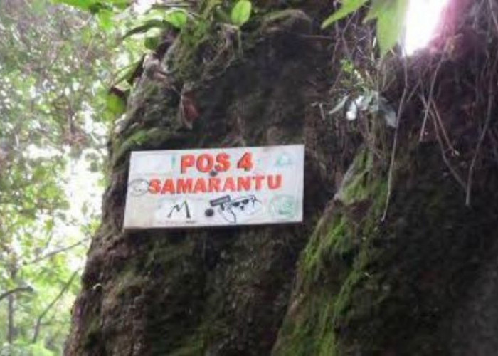 Pos Samarantu dan Legenda Dunia Lain Misteri dan Keindahan di Gunung Slamet, Pulau Jawa