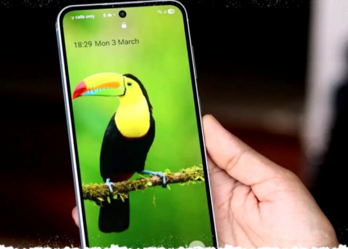 Bocoran Samsung Galaxy A57 Terungkap: Bodi Super Tipis 6,9 mm, Kamera Baru, Performa Nyaris Flagship