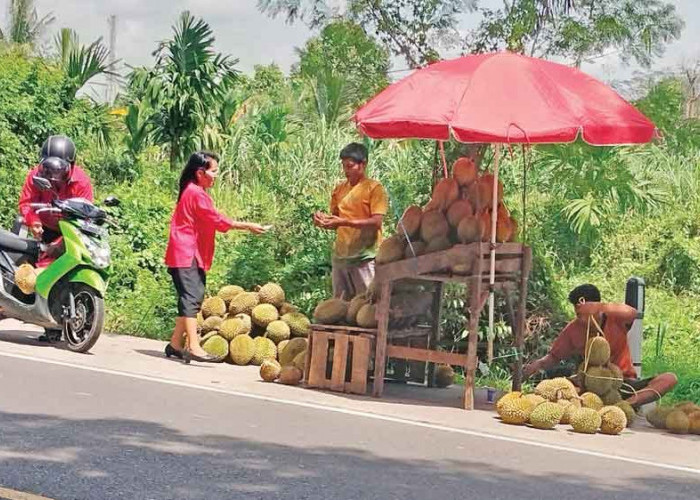 Durian Rp10 Ribu, Beli Langsung di Pinggir Jalan!