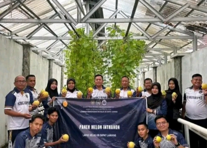Panen Melon Inthanon di SAE, Lapas Empat Lawang Buktikan Pembinaan Warga Binaan Berdaya 