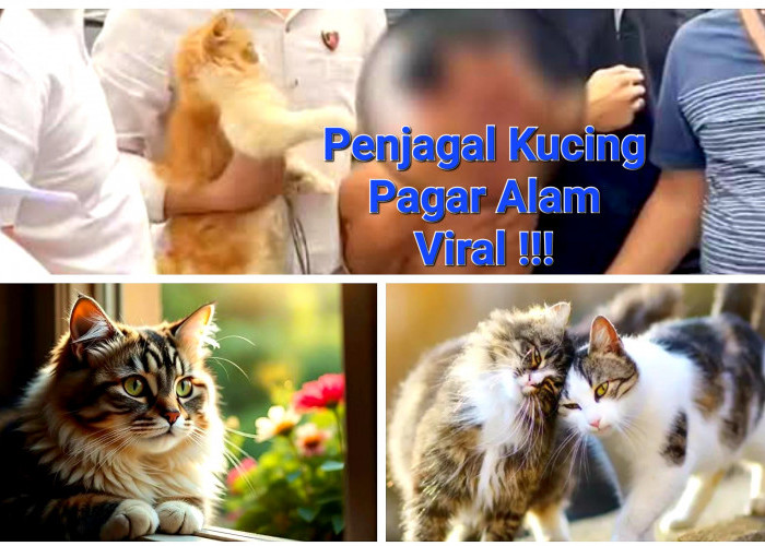 Warga Pagar Alam Diimbau Waspada Penyakit Zoonosis Usai Kasus Penjualan Daging Kucing