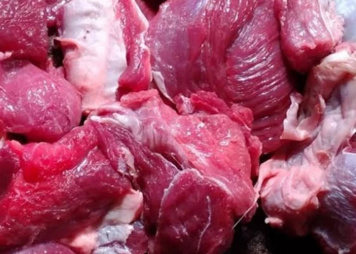 Berapa Lama Daging Sapi dan Domba Bisa Aman Dikonsumsi di Kulkas? 