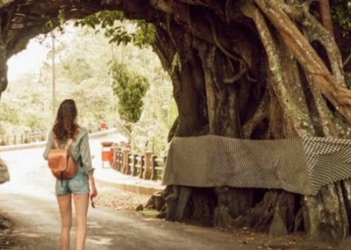 Mitos dan Legenda yang Melingkupi Pohon Bunut Bolong di Bali