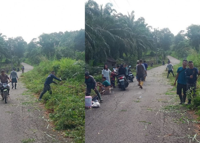 Warga Bersama Pemdes Pajar Bakti Gotong Royong Bersihkan Rumput Liar Demi Kenyamanan dan Keamanan