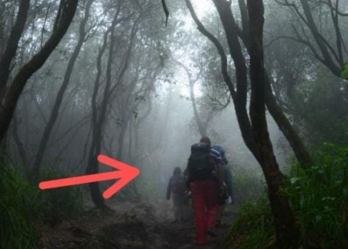 Misteri Bunian: Petualangan Pendaki Berani Dika Melawan Kabut dan Mencari Cinta