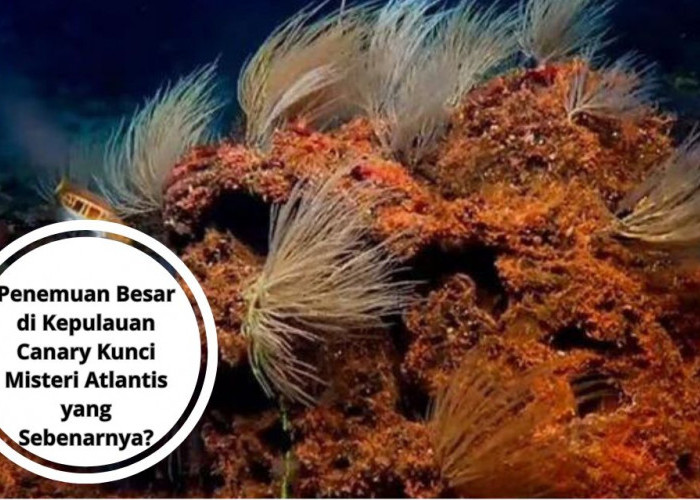 Penemuan Besar di Kepulauan Canary Kunci Misteri Atlantis yang Sebenarnya?