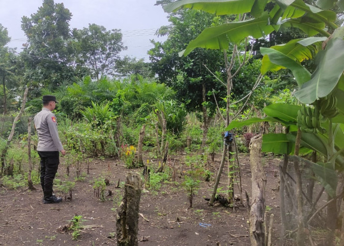 Dorong Ketahanan Pangan, Bhabinkamtibmas Tebing Tinggi Pantau Pekarangan Bergizi Warga