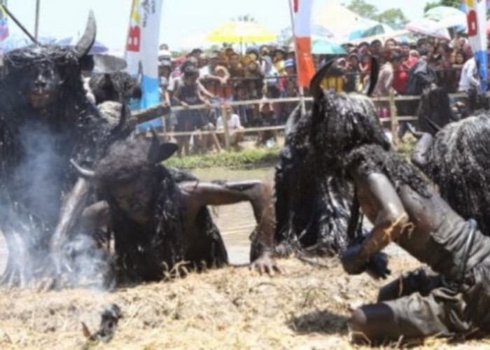 Mengungkap Misteri Kebo-Keboan: Tradisi Kuno Desa Alasmalang, Singojuruh, Banyuwangi