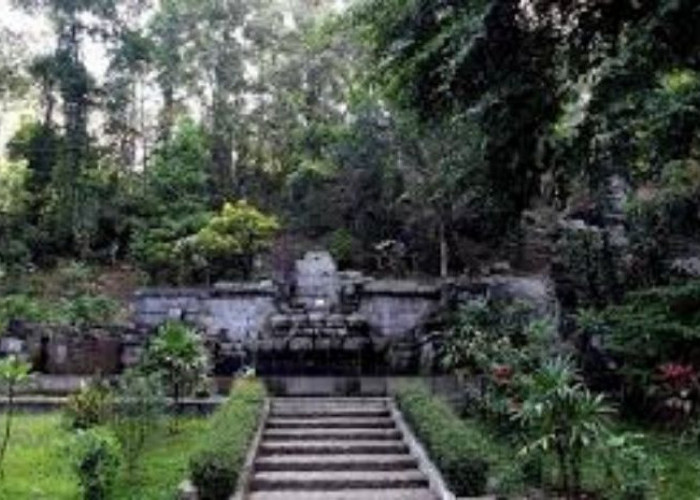 Terdapat Bangunan Istana Seluas 5 Hektare di Hutan Jati Lamongan, Benarkah Itu?