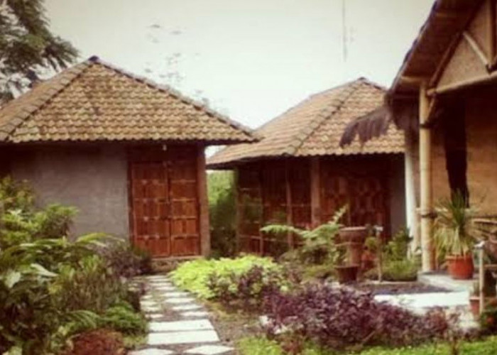 Homestay Bamboo House: Penginapan Murah dan Tenang di Pangandaran