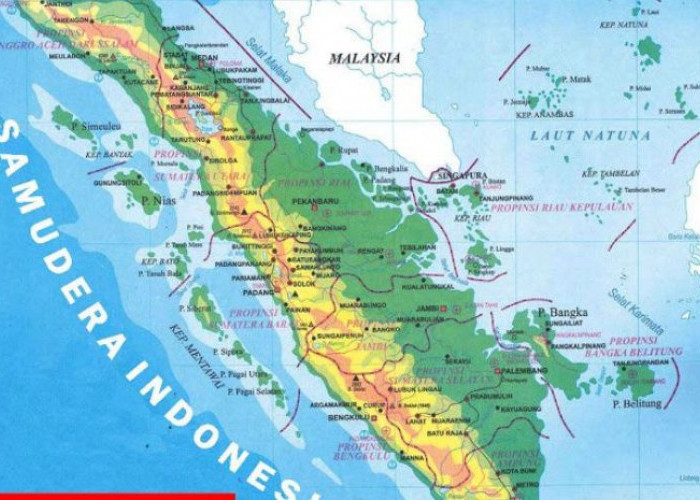 Kabupaten Terluas di Pulau Sumatera, OKI Nomor 1, Riau Mendominasi!