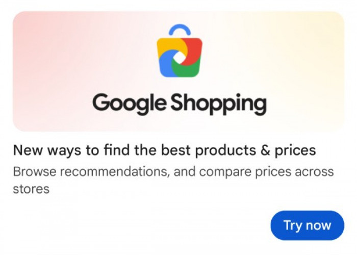 Google Shopping Tampilkan Logo dan Desain Baru