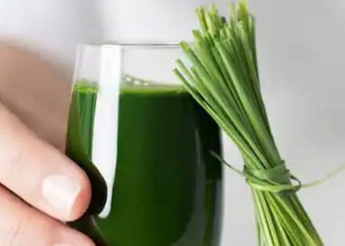 Benarkah Wheatgrass Juice Obat Segala Penyakit? Ini Fakta di Balik Klaimnya!