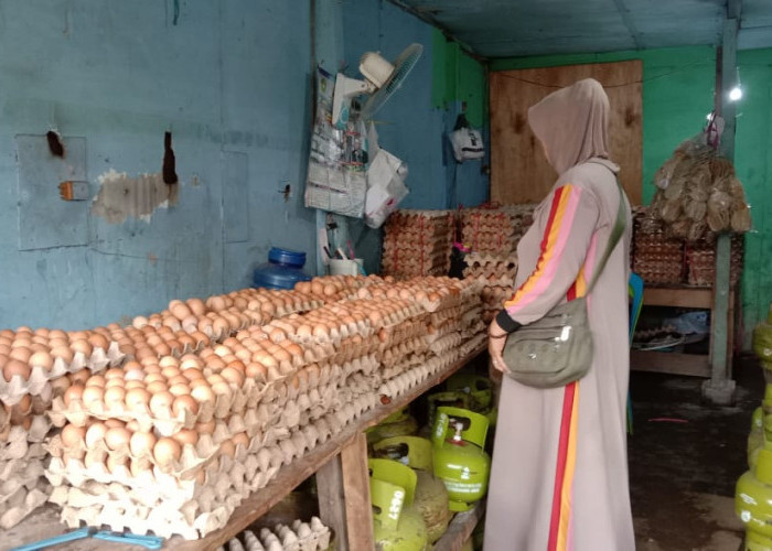 Harga Telur Masih Tinggi, Bagaimana Nasib Pedagang Telur Gulung?!