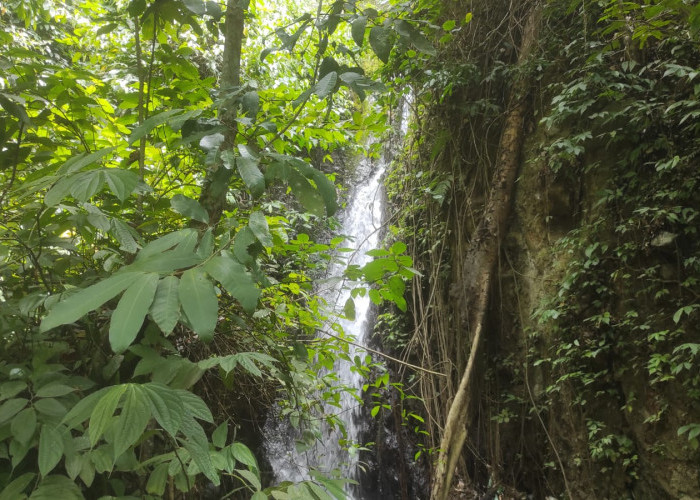 Ayek Kaso, Air Terjun di Desa Gunung Meraksa Lama