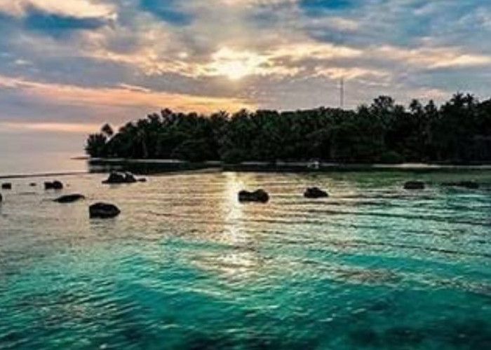 Pantai Pasir Putih dan Terumbu Karang Indah: Pesona Pulau Pantara