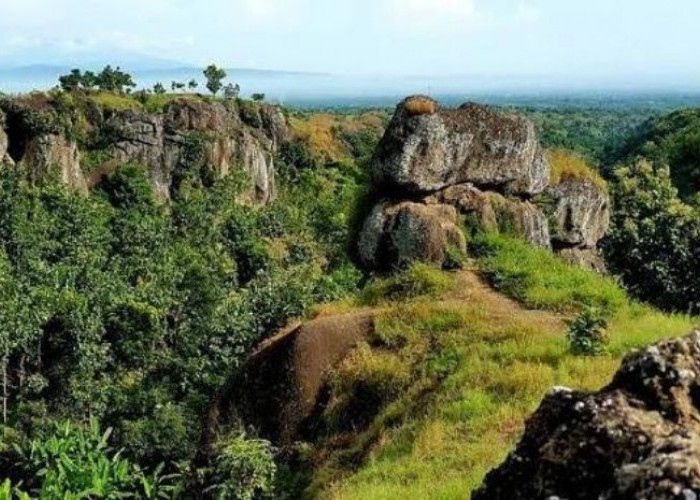 Mengungkap Misteri Situs Megalitikum Bondowoso, Jejak Peradaban Kuno di Bawah Bayangan Gunung Kasola