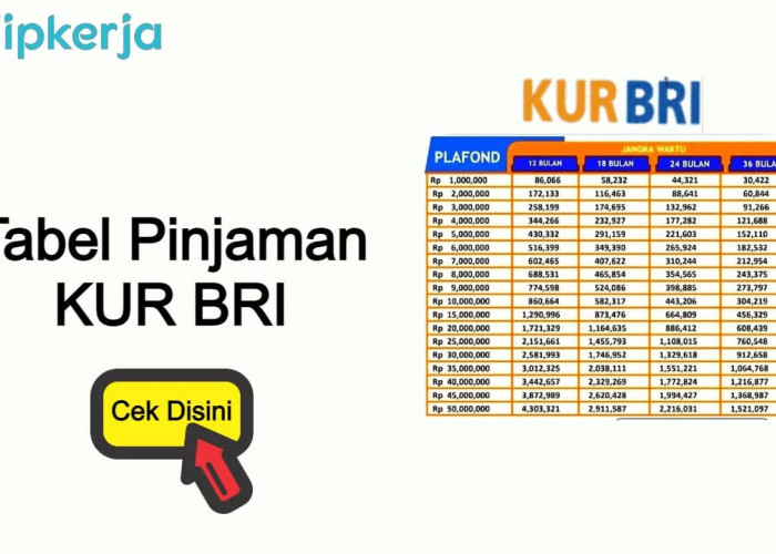 Bunga Rendah, Pinjaman KUR BRI Semakin Diminati, Agus Siap Buka Pangkalan Gas