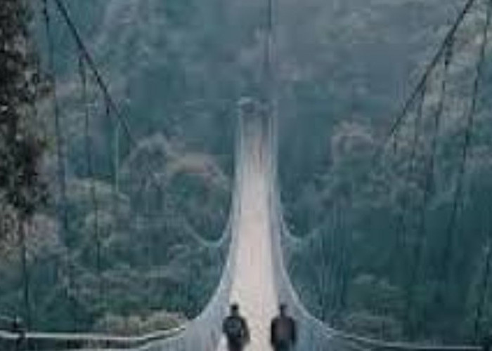 Situ Gunung Suspension Bridge di Sukabumi: Perjalanan Menegangkan di Atas Puncak Pohon