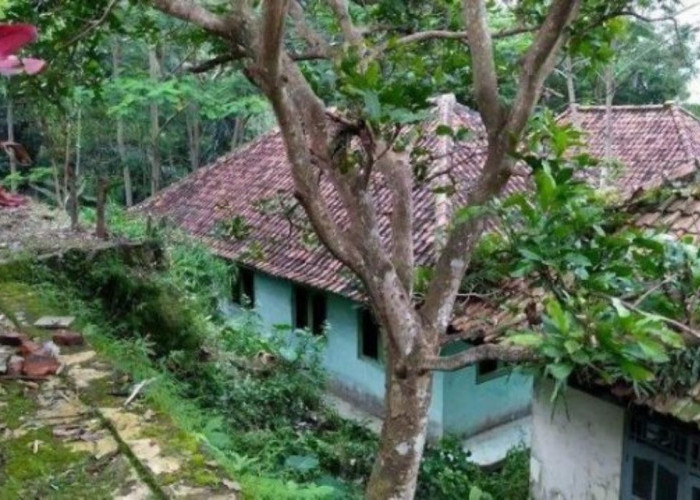 Kisah Kelam Dusun Cimeong: Desa Mati di Kabupaten Kuningan