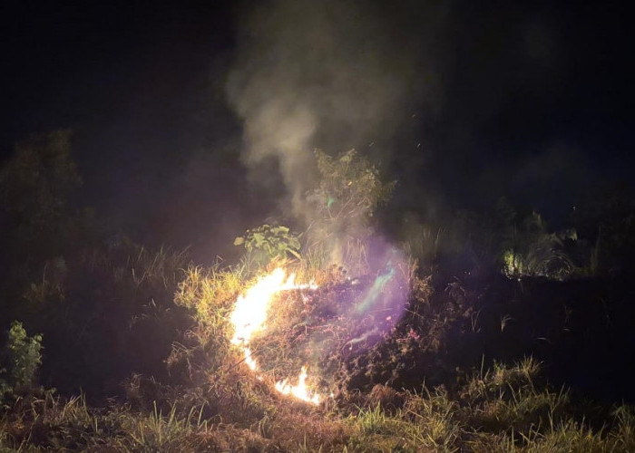 BPBD Empat Lawang Gerak Cepat Padamkan Api Karhutla di Pasar Pulau Mas, Tebing Tinggi