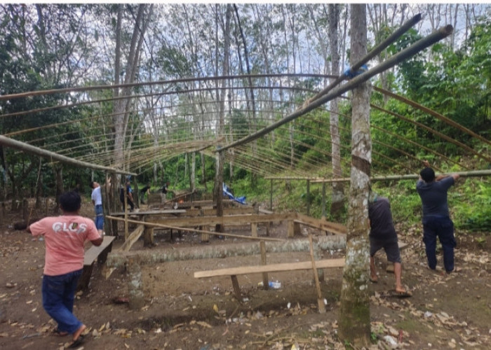 Polsek Tebing Tinggi Gerak Cepat Bongkar Arena Judi Sabung Ayam di Rantau Tenang, Warga Diminta Aktif Melapor